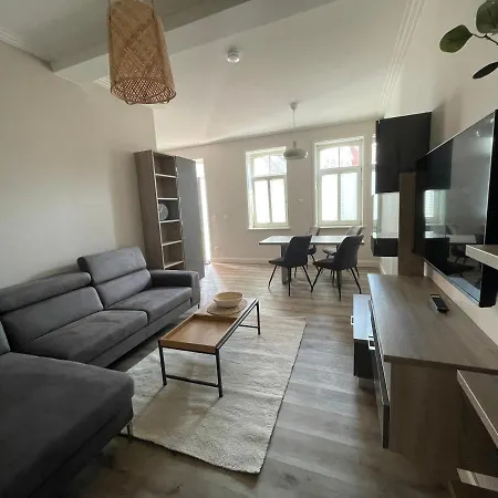 公寓 Alte Schulstrasse Altstadtdomizil Onni Whg 1